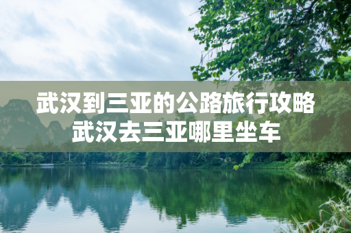 武汉到三亚的公路旅行攻略武汉去三亚哪里坐车