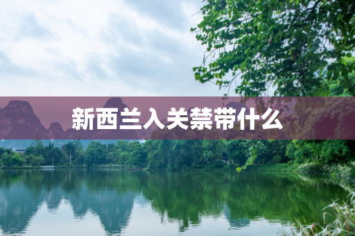 新西兰入关禁带什么