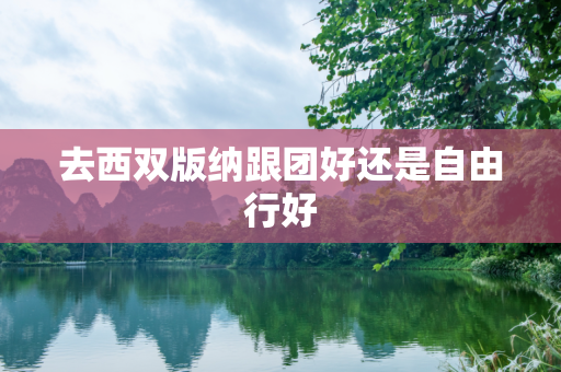 去西双版纳跟团好还是自由行好