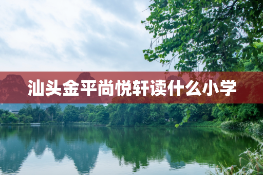 汕头金平尚悦轩读什么小学