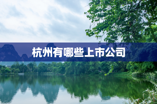 杭州有哪些上市公司