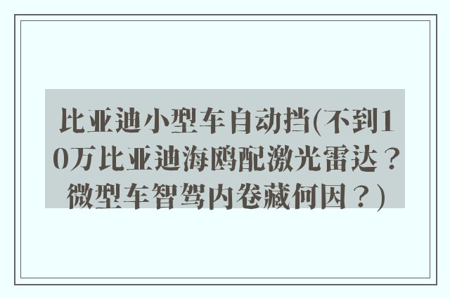 比亚迪小型车自动挡(不到10万比亚迪海鸥配激光雷达？微型车智驾内卷藏何因？)