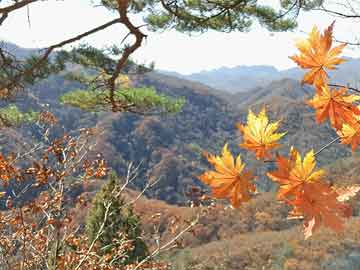 春节北京旅游人多吗？